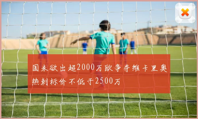 国米欲出超2000万欧争夺维卡里奥热刺标价不低于2500万