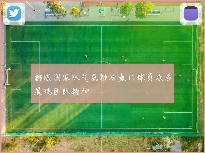 挪威国家队气氛融洽豪门球员众多展现团队精神